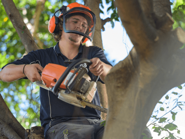 Untitled design (31) (1)