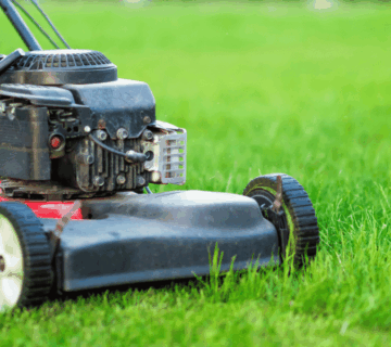 Lawn mowing brisbane