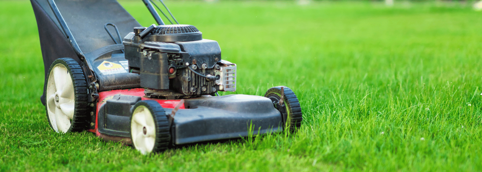 Lawn mowing brisbane