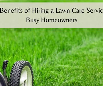 Lawn service brisbane