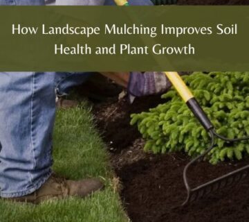 Landscape mulching services