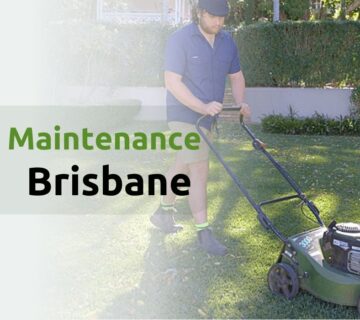 Lawn maintenance services