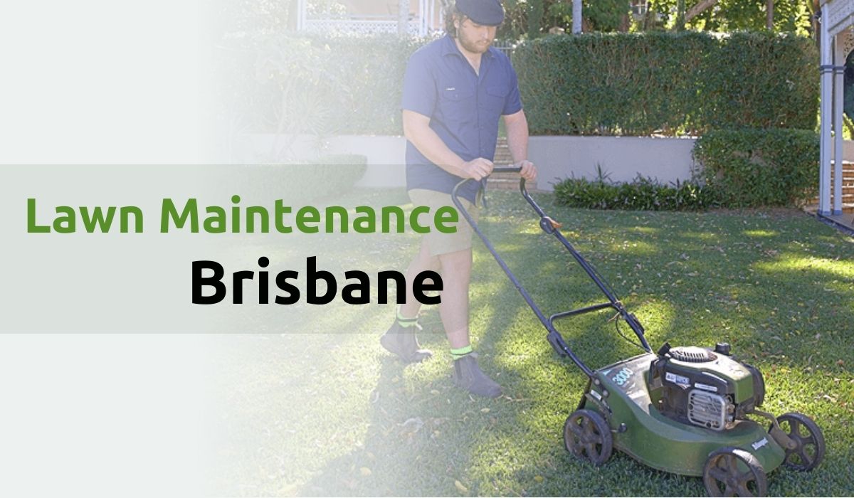 Lawn maintenance services