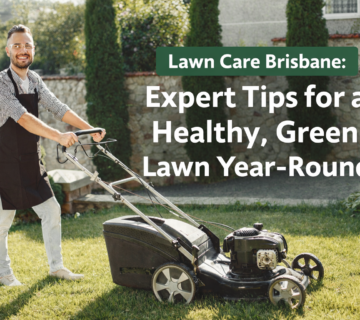 Lawn care brisbane