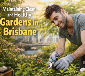 Garden maintenance services Brisbane